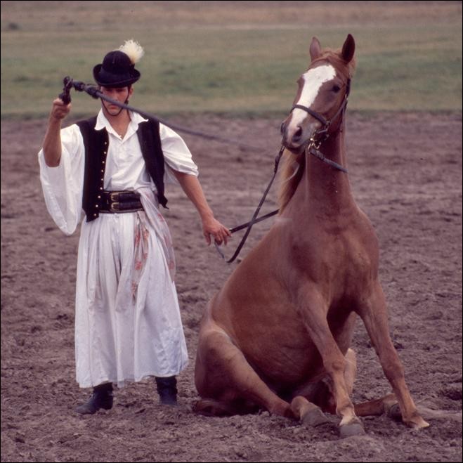 Horse show at Bugac, Hungary