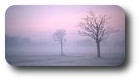 Misty morning at Sefton Park, Liverpool, England
