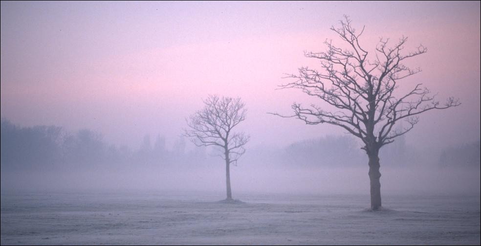 Misty morning at Sefton Park, Liverpool, England