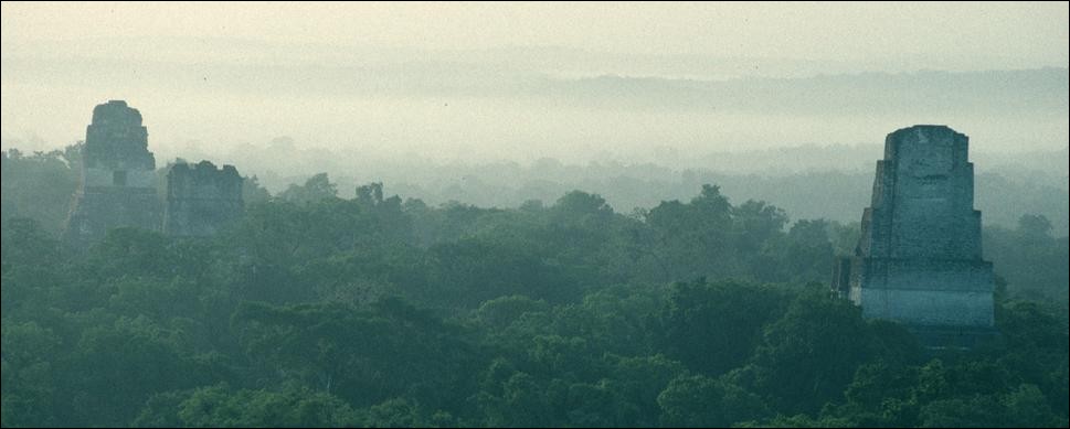 Temples in the morning mist at Tikal, Guatemala