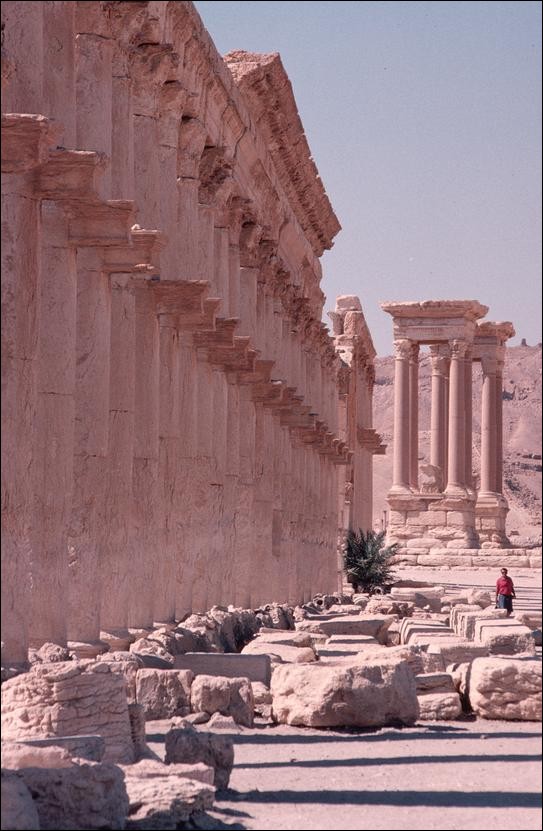 Colonnaded street, Palmyra, Syria