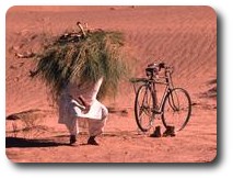 Man collecting firewood in the Baluchistan Desert, Pakistan