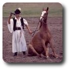 Horse show at Bugac, Hungary