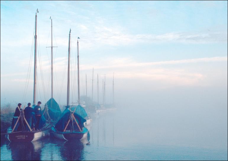 Morning mist on the Norfolk Broads, England